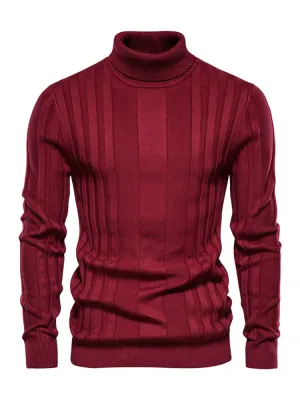 Men's Turtleneck Casual Solid Colour Sweater